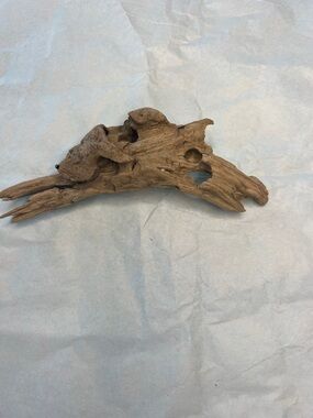 Natural Brown Driftwood from Potomac River